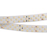 Лента светодиодная RT 2-5000 24V White6000 3x2 (2835, 1260 LED, LUX) (Arlight, 27 Вт/м, IP20)